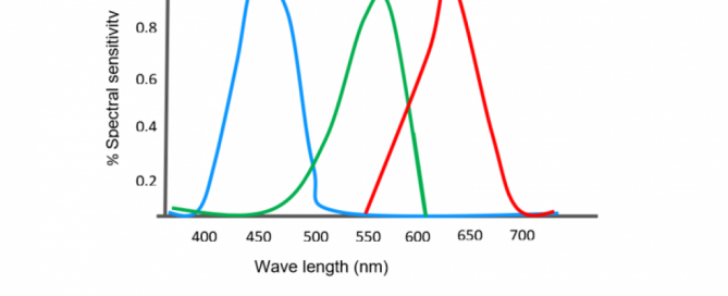 Spectral sensitivity curves of cameras